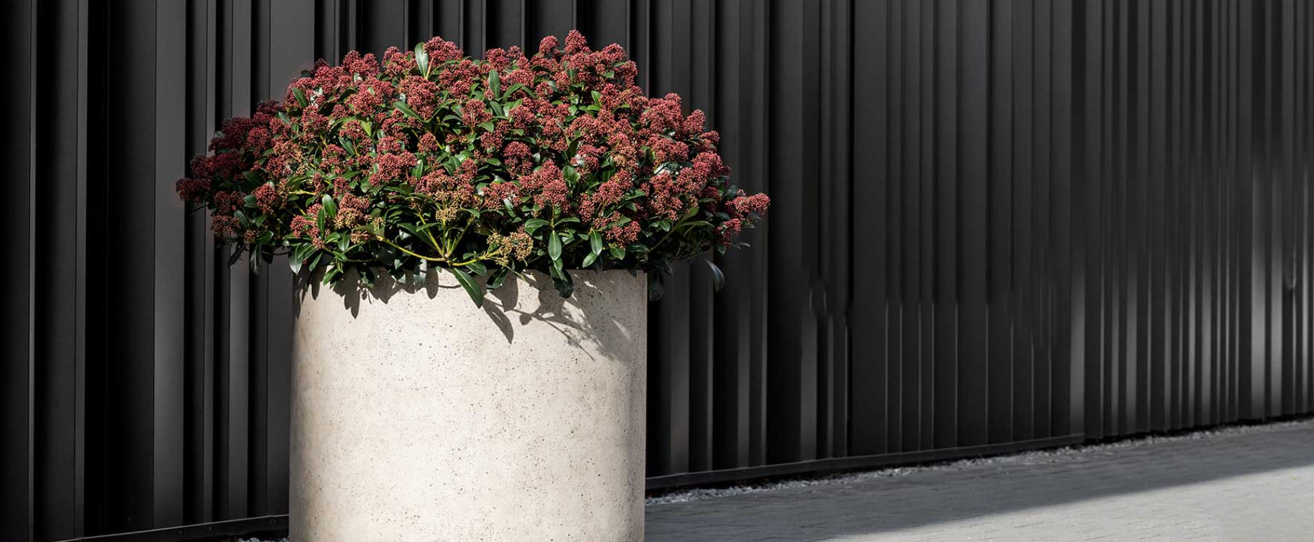 Tuin Gereedschap Winkel -Tuin Gereedschap Winkel dfrdfh