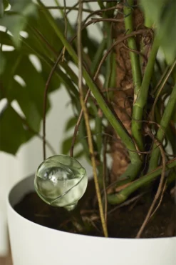 Aqua Care Elho - Transparant -Tuin Gereedschap Winkel elho aqua care transparant water geven 7 2