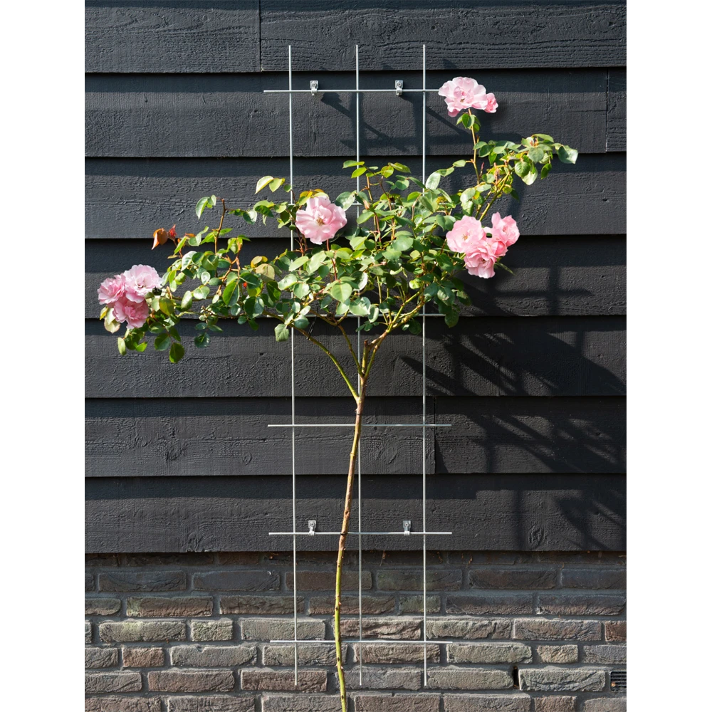 Nature - Metalen klimrek geplastificeerd grijs h145x42,5cm Nature - Metalen Klimrek Geplastificeerd Grijs H145x42,5cm -Tuin Gereedschap Winkel