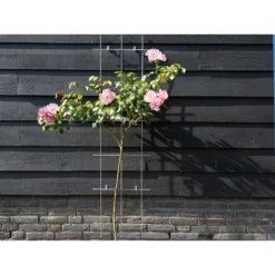 Nature - Metalen Klimrek Geplastificeerd Grijs H145x42,5cm 2 Nature - Metalen Klimrek Geplastificeerd Grijs H145x42,5cm -Tuin Gereedschap Winkel nature metalen klimrek geplastificeerd grijs h145x42 5cm 3 2