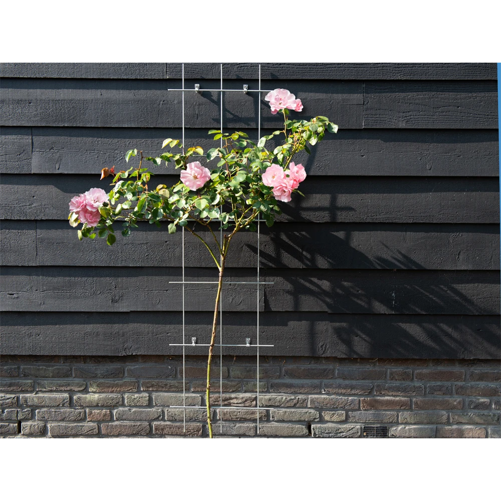 Nature - Metalen klimrek geplastificeerd grijs h145x42,5cm Nature - Metalen Klimrek Geplastificeerd Grijs H145x42,5cm -Tuin Gereedschap Winkel