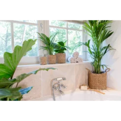 Plantenmand Joris - D38 X H33cm - Naturel -Tuin Gereedschap Winkel plantenmand joris naturel plantenmand 3 2