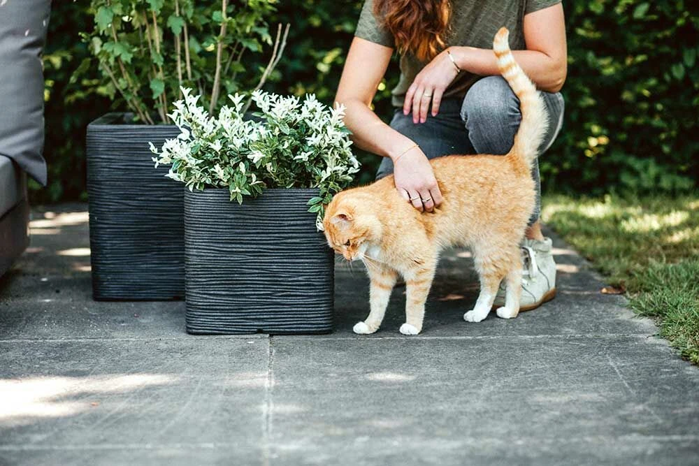 Capi Plantenbak vierkant Nature Rib NL - l30 x b30 x h30cm - Zwart Capi Plantenbak Vierkant Nature Rib NL - L30 X B30 X H30cm - Zwart -Tuin Gereedschap Winkel