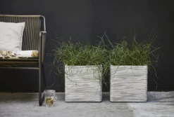 Capi Plantenbak Vierkant Nature Rib NL - L40 X B40 X H40cm - Ivoor -Tuin Gereedschap Winkel pot vierkant rib nl 40x40x40 ivoor plantenbak 7 8