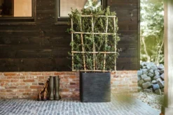 Capi Plantenbak Vierkant Nature Rib NL - L50 X B50 X H50cm - Zwart -Tuin Gereedschap Winkel pot vierkant rib nl 50x50x50 zwart plantenbak 7 8