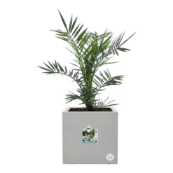 Elho Vivo Next Vierkant Wielen 40cm - Warm Grijs -Tuin Gereedschap Winkel vivo matt vierkant wielen 40cm warm grijs 6 1